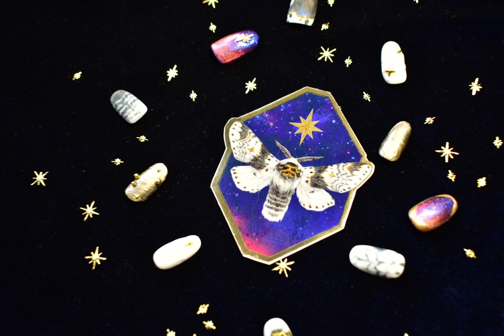 ネイルチップ「星の模様の蛾」受注生産