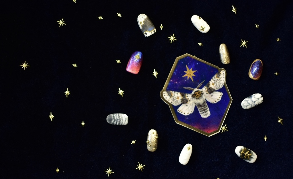 ネイルチップ「星の模様の蛾」受注生産