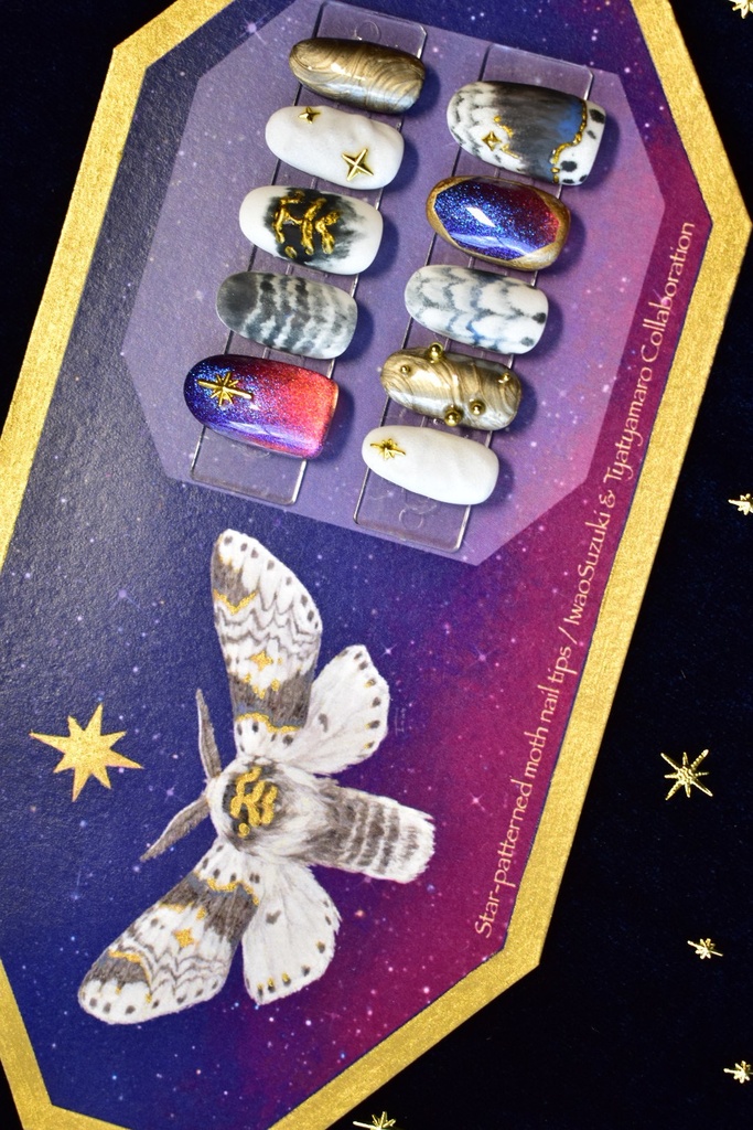 ネイルチップ「星の模様の蛾」受注生産