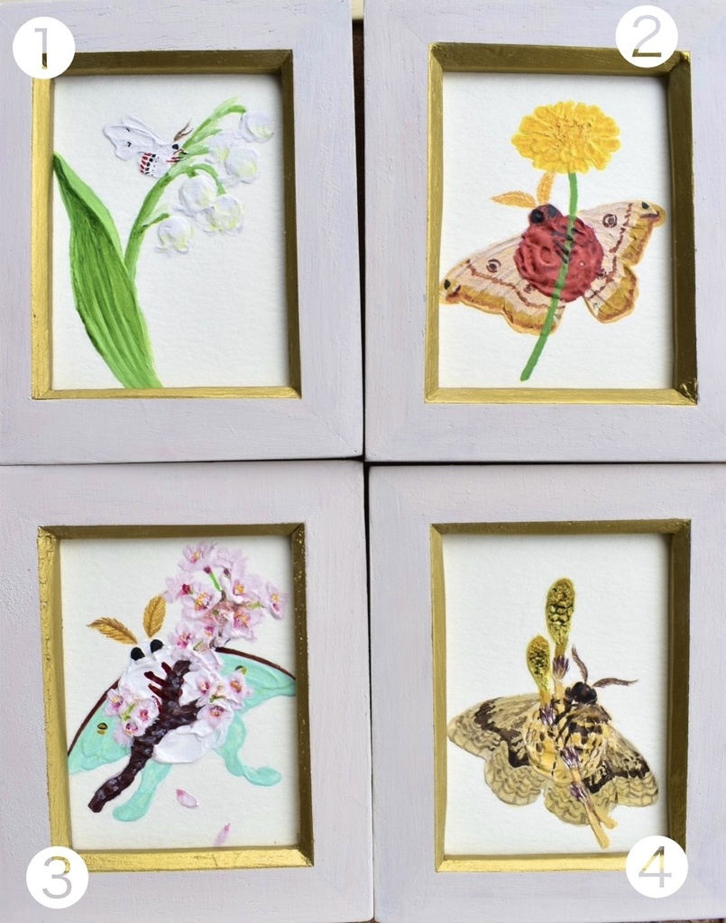 ミニ原画『たまもすとお花』第3弾