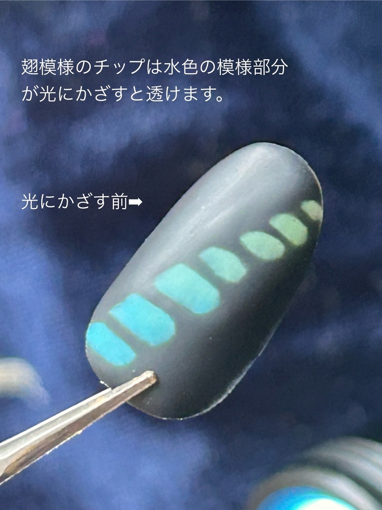ネイルチップ「アオスジアゲハ」