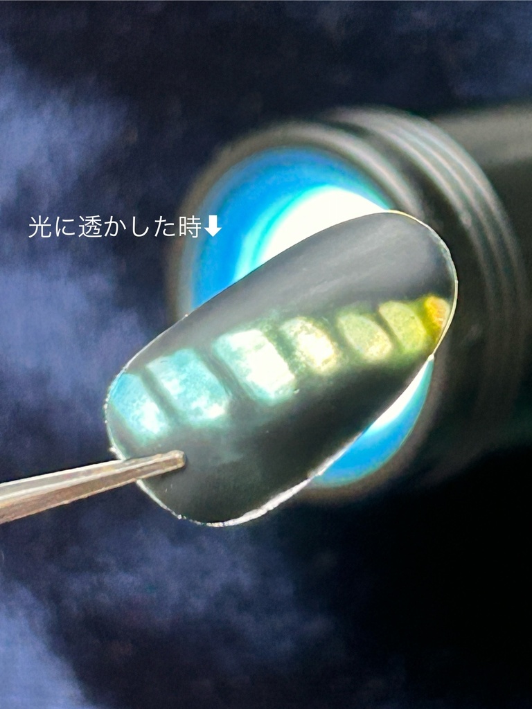 ネイルチップ「アオスジアゲハ」
