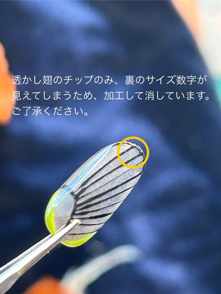 ネイルチップ「オオスカシバ」