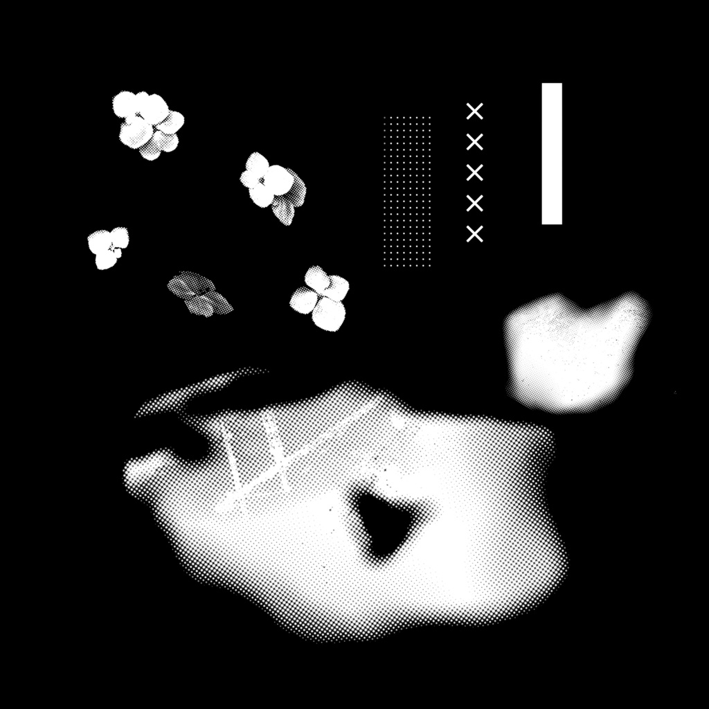 いたるのワクワク素材たち!