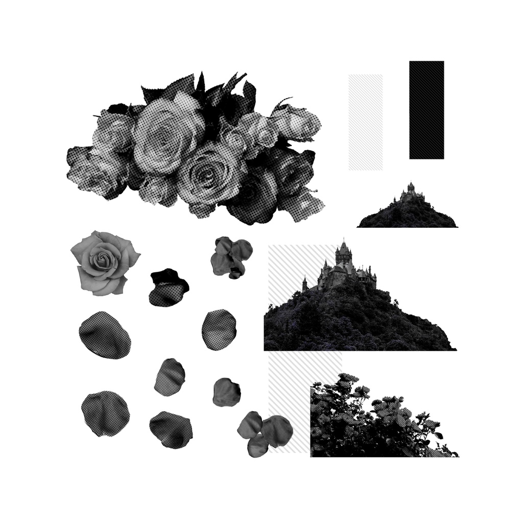 いたるのワクワク素材たち!