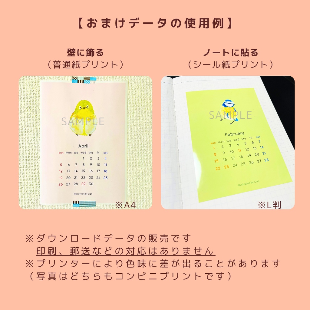 【2026年8月】小鳥のスマホ用壁紙 / ウロコインコ
