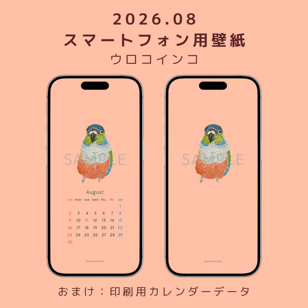 【2026年8月】小鳥のスマホ用壁紙 / ウロコインコ
