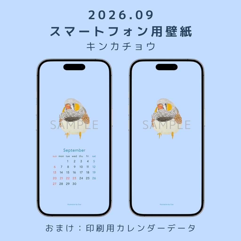 【2026年9月】小鳥のスマホ用壁紙 / キンカチョウ