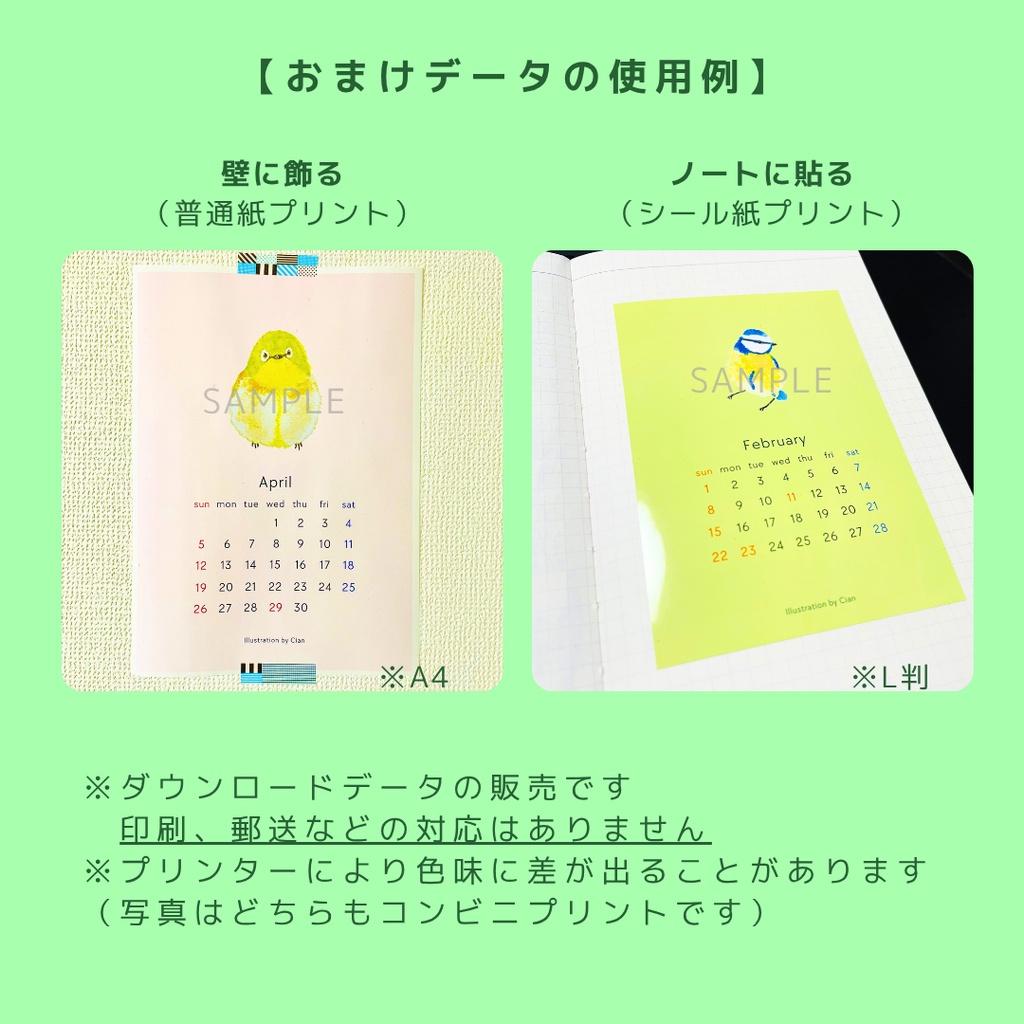 【2026年10月】小鳥のスマホ用壁紙 / ジャンボセキセイインコ