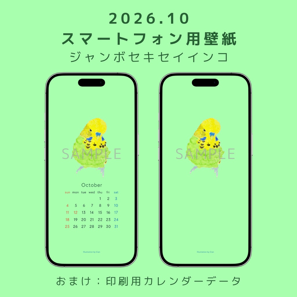 【2026年10月】小鳥のスマホ用壁紙 / ジャンボセキセイインコ