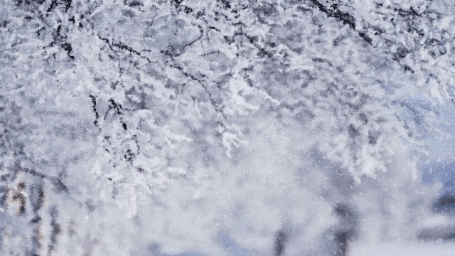 【動く背景】春夏秋冬