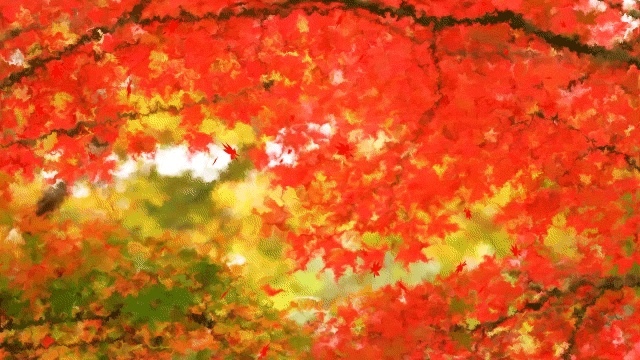 【動く背景】春夏秋冬