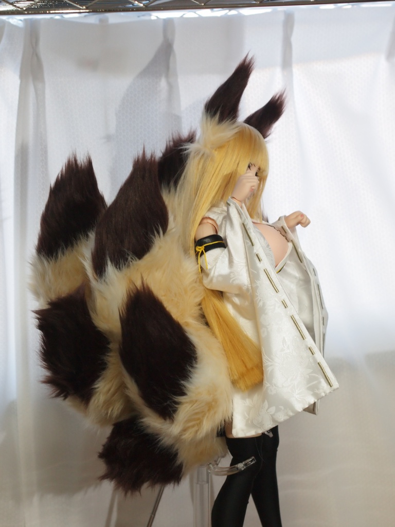 40~60cm級ごんぶと九尾