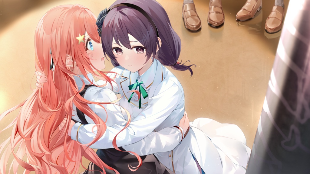 【PC用百合ゲーム】私たちマリアージュ1 初期設定集付きパッケージ版