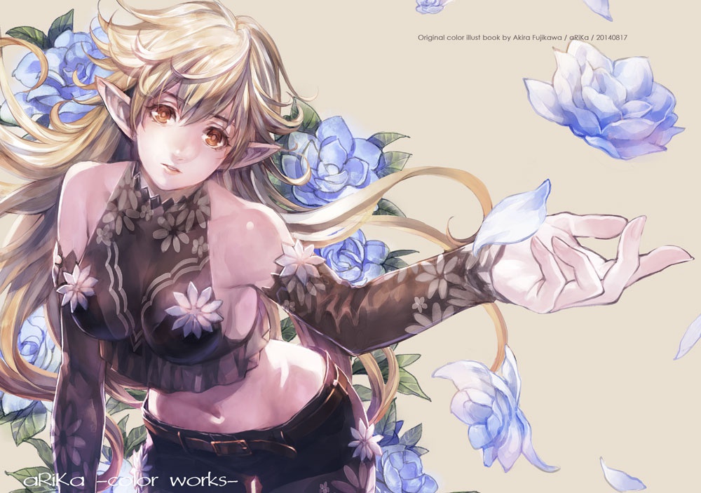 aRiKa -color works-
