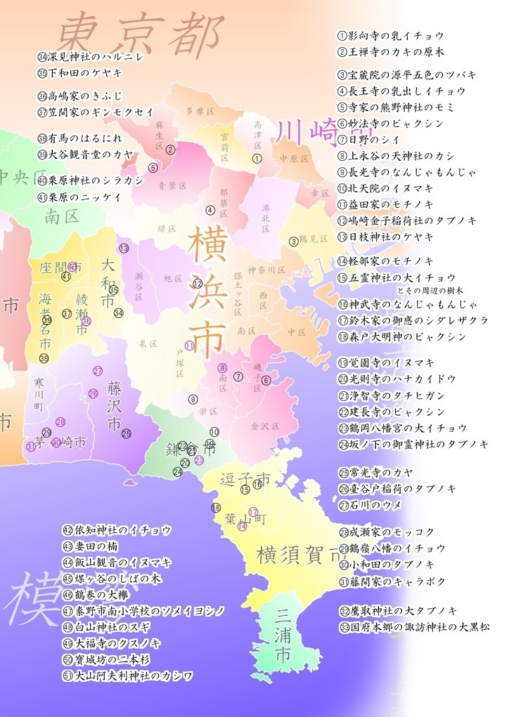 歴史と自然の散策記② 「かながわの名木100選」