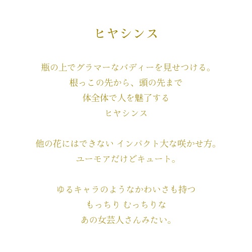 もっさんみいこの「植物図鑑」