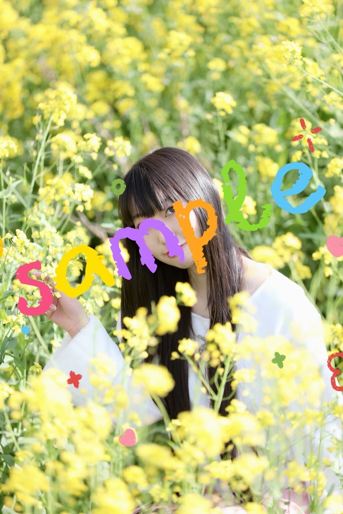 ブロマイド3枚セット