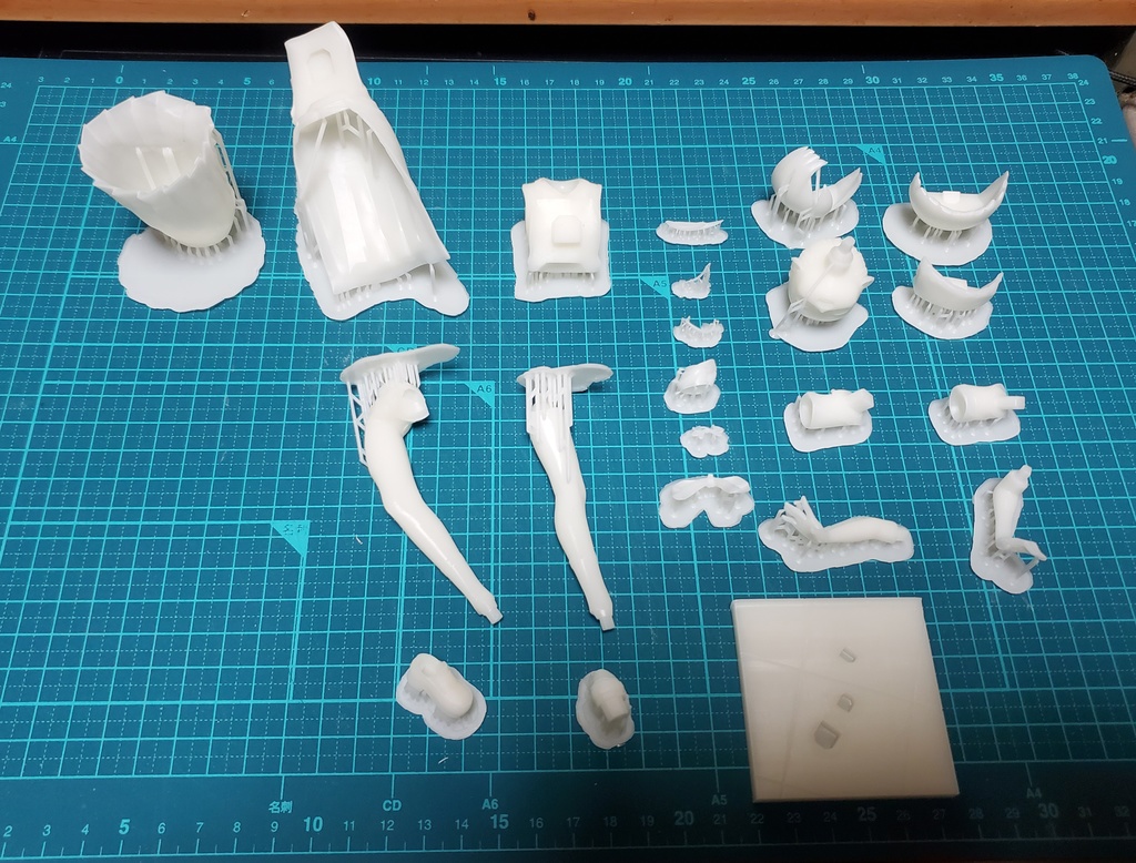 もけ部 ハコちゃん