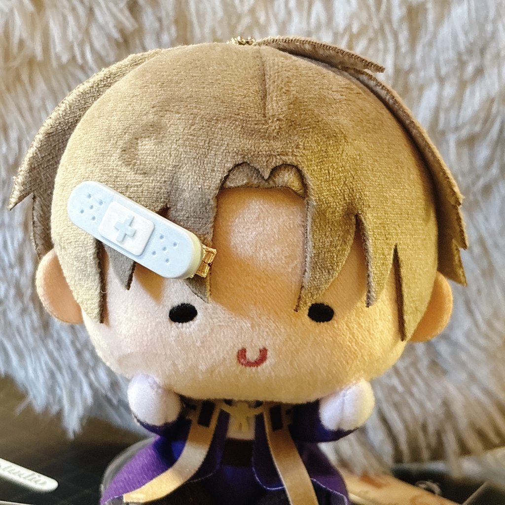 ぬいちゃんのおやつ 絆創膏チョコクリップ🩹
