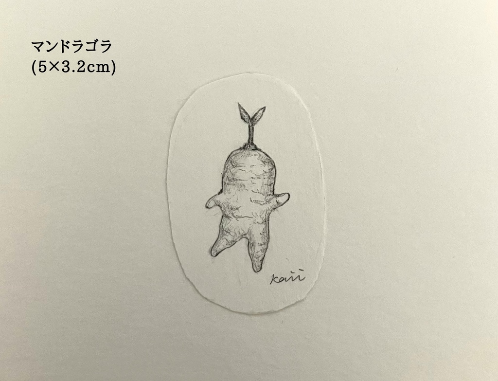 鉛筆ドローイング