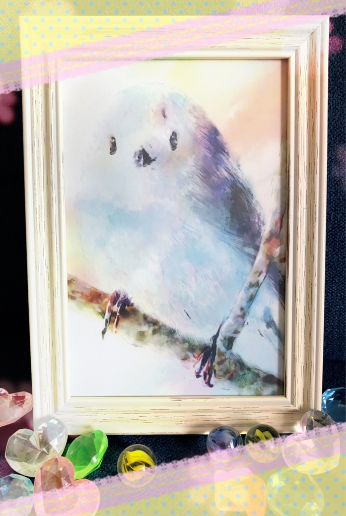 ポストカード5枚セット