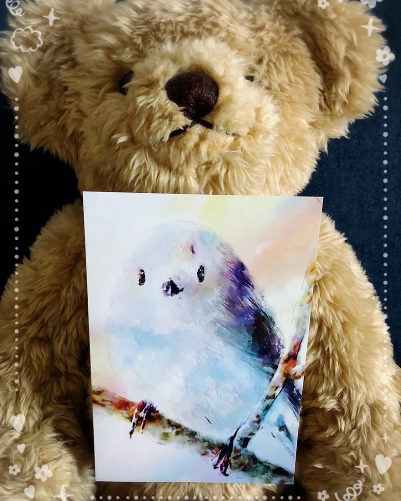 ポストカード5枚セット