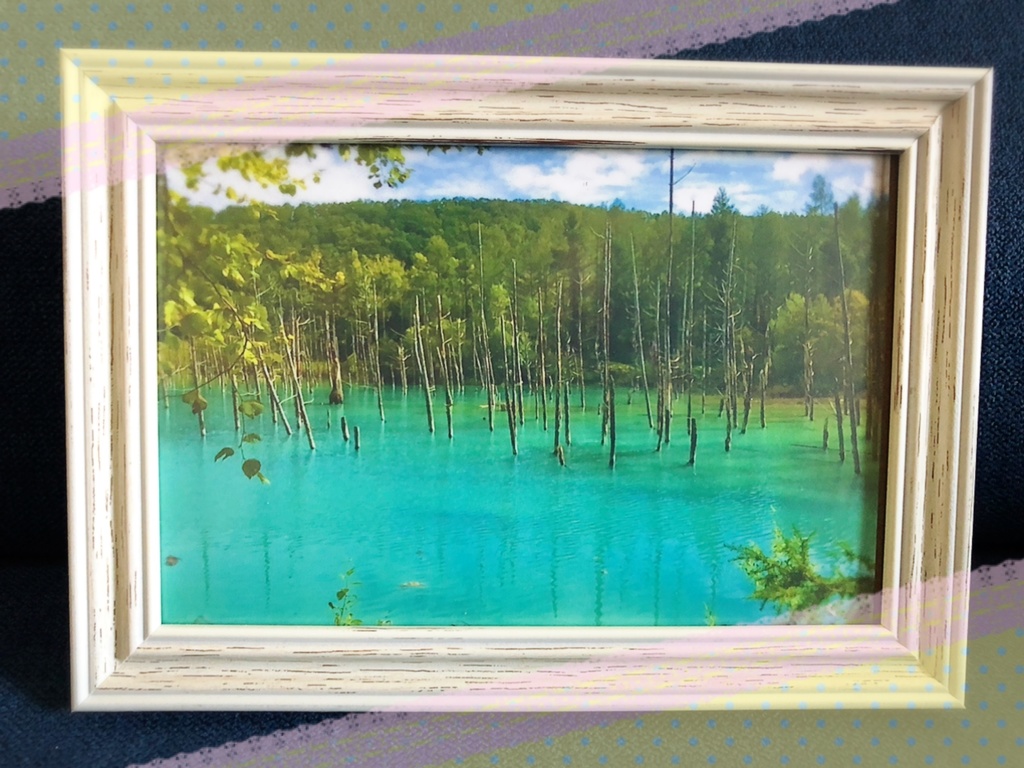 風景写真★ポストカード4枚セット