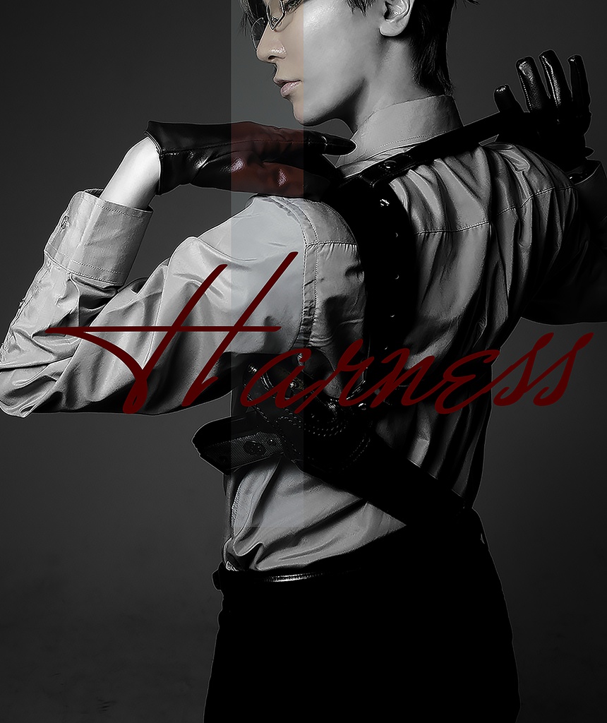 入間銃兎コスプレブロマイドセット（写真集Harness収録写真）