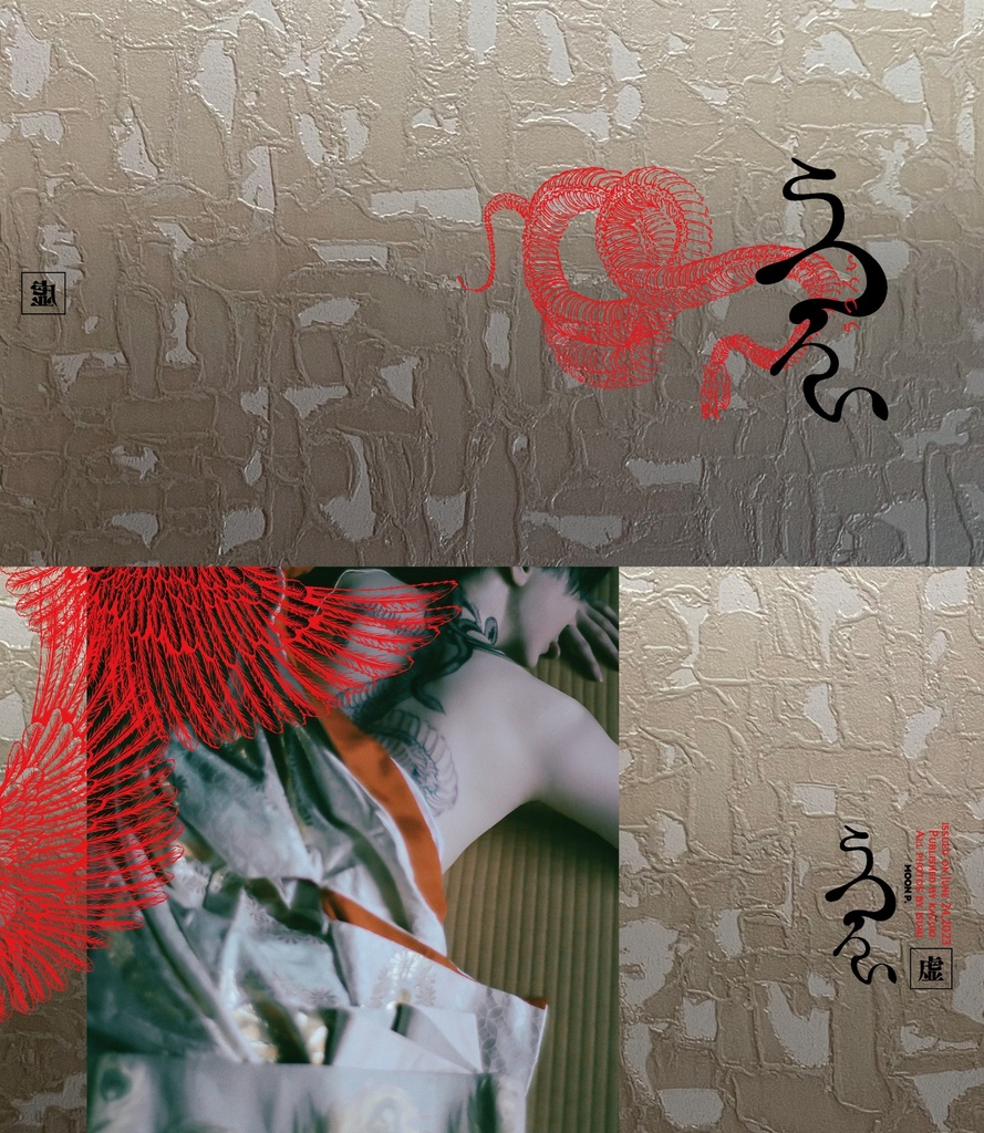 オリジナル写真集 【虚】