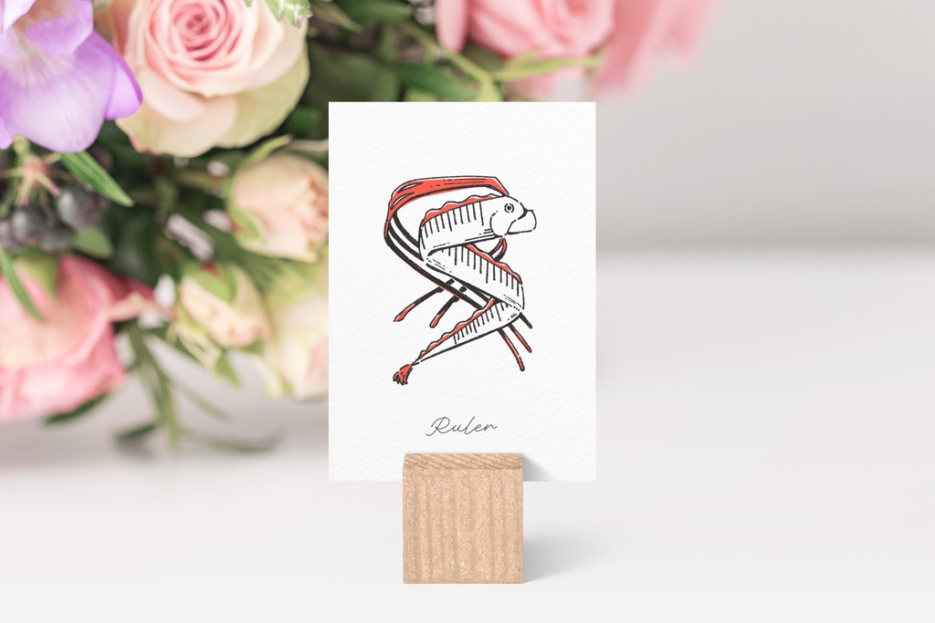 【無料PDF配布】深海生物の選び取りカード