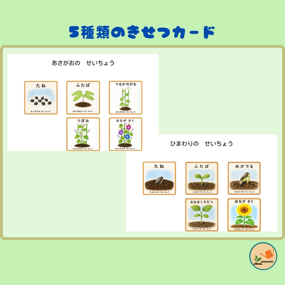 CEBG005_てんとうむしの せいちょうれっしゃ