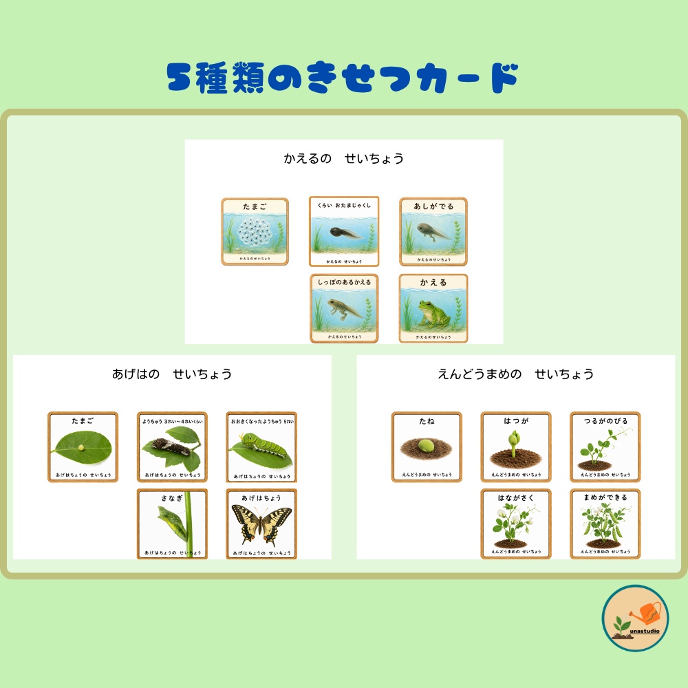 CEBG005_てんとうむしの せいちょうれっしゃ