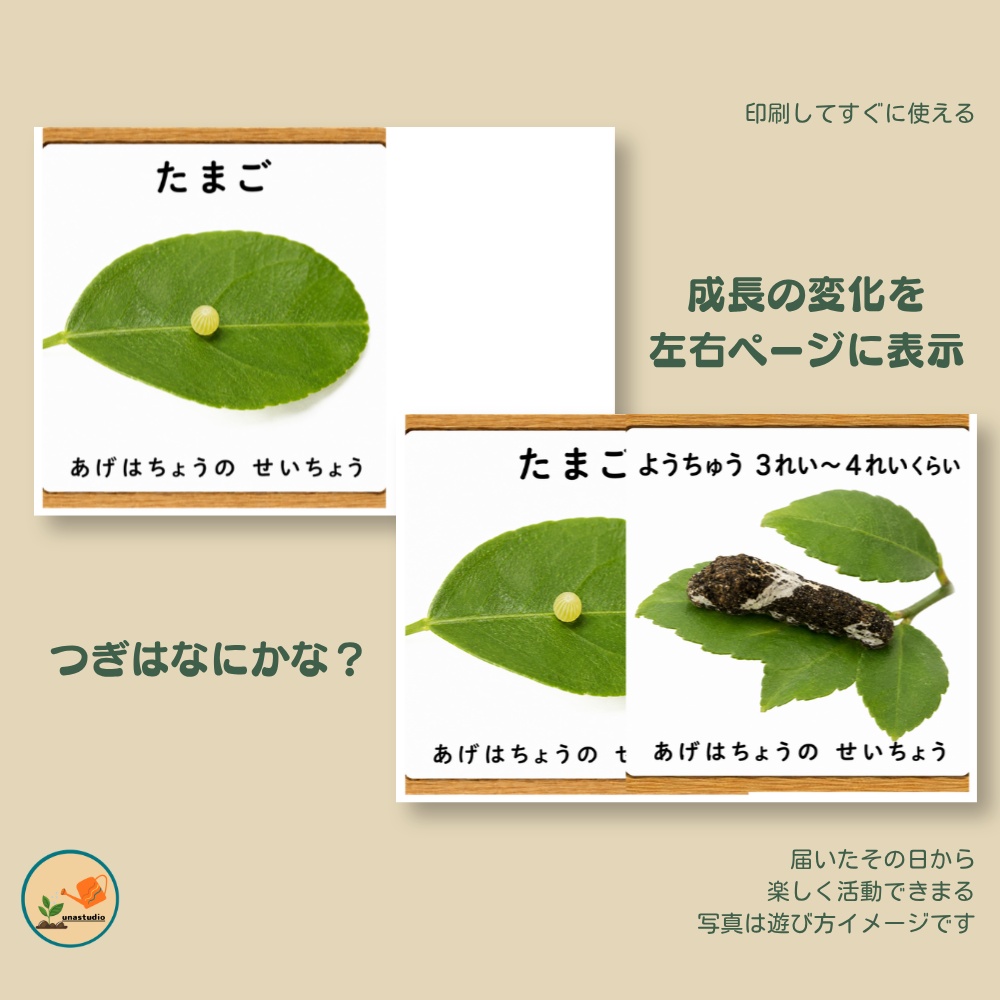 CABG008 あらいぐまの こうえんさんぽ