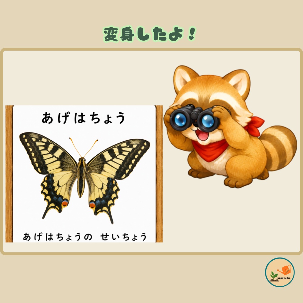 CABG008 あらいぐまの こうえんさんぽ