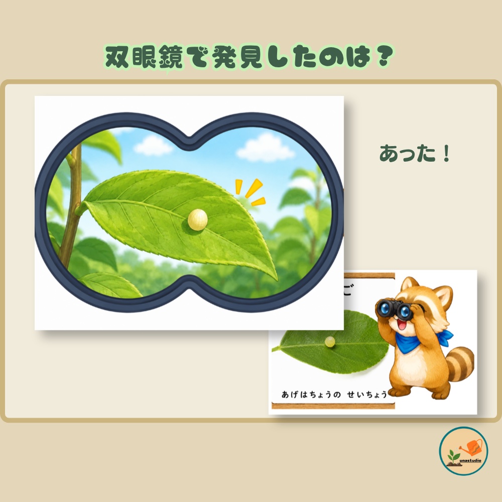 CABG008 あらいぐまの こうえんさんぽ