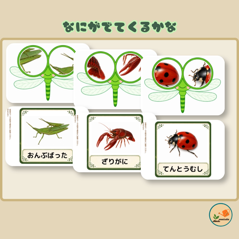CAD007 あらいぐまの とんぼのめがね