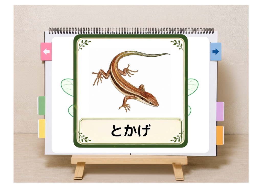 CAD007 あらいぐまの とんぼのめがね