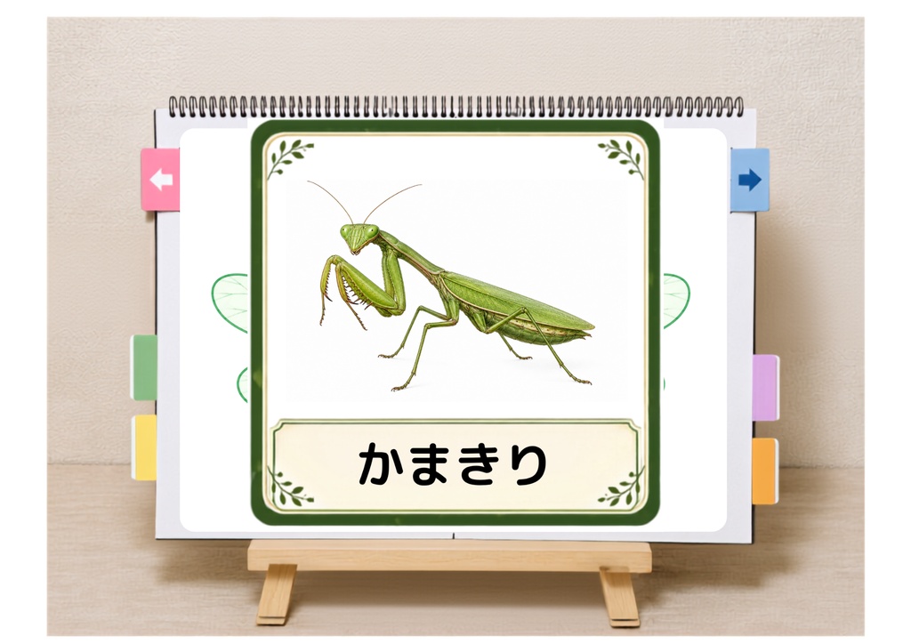 CAD007 あらいぐまの とんぼのめがね