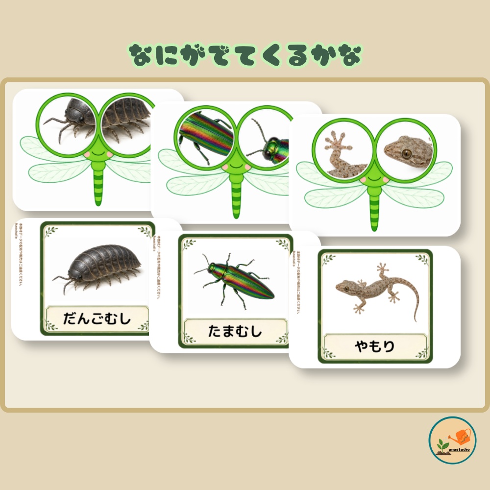 CAD007 あらいぐまの とんぼのめがね