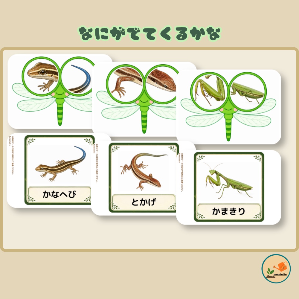 CAD007 あらいぐまの とんぼのめがね