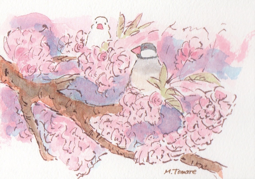 【額装原画】八重桜と文鳥