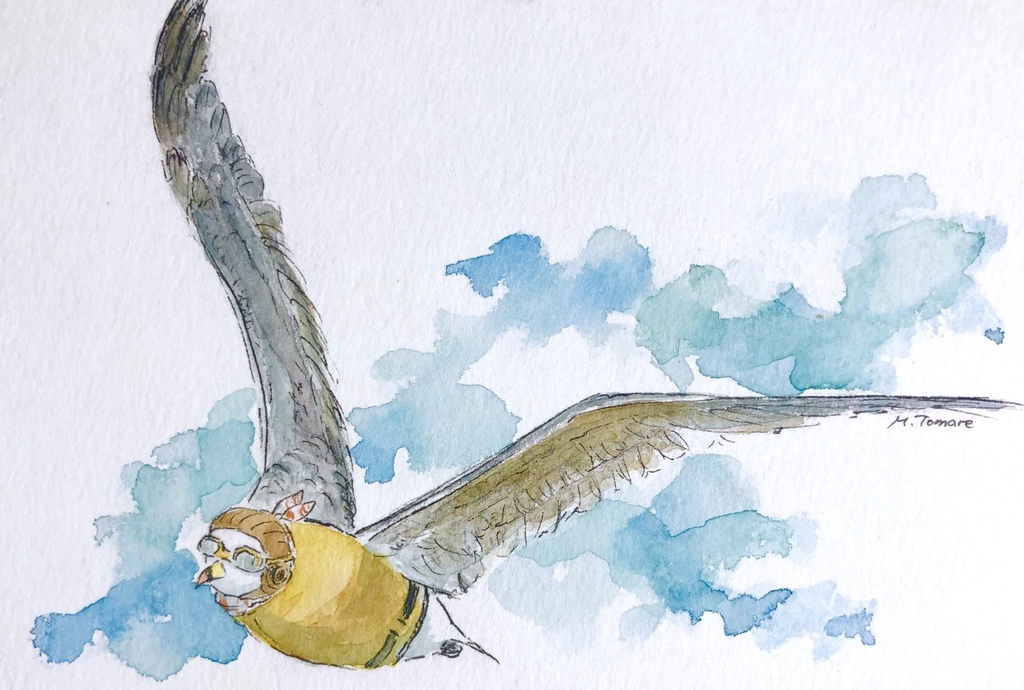 【額装原画】空軍ウミネコの飛行