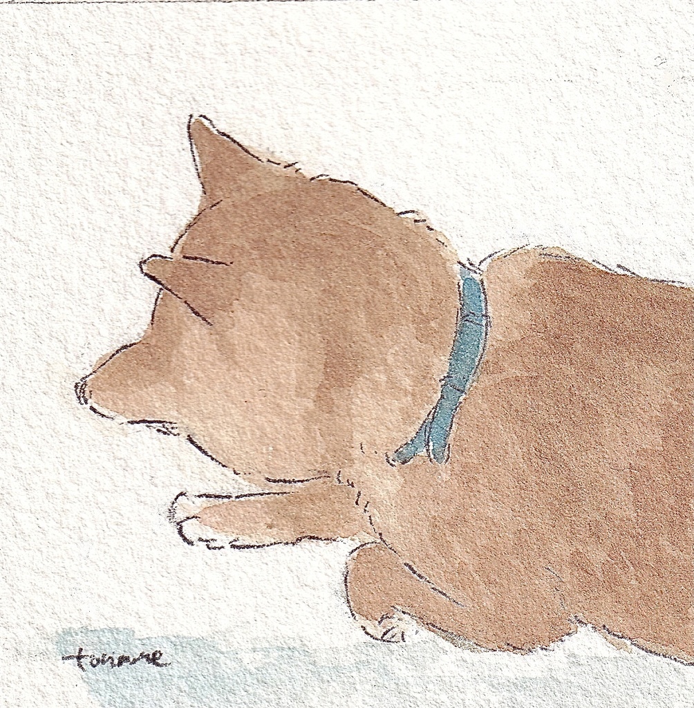 ミニ額装原画 駆け回る犬 Tempo Rubato Booth