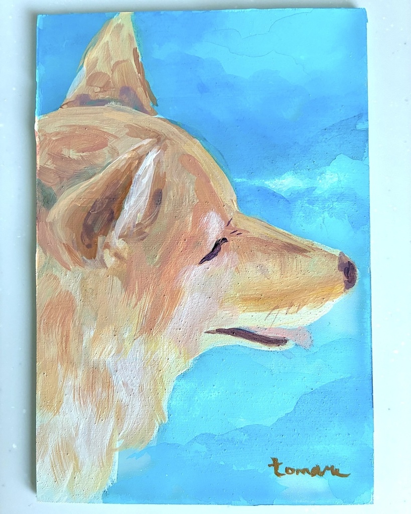 柴犬 Dogs – Shiba Inu –