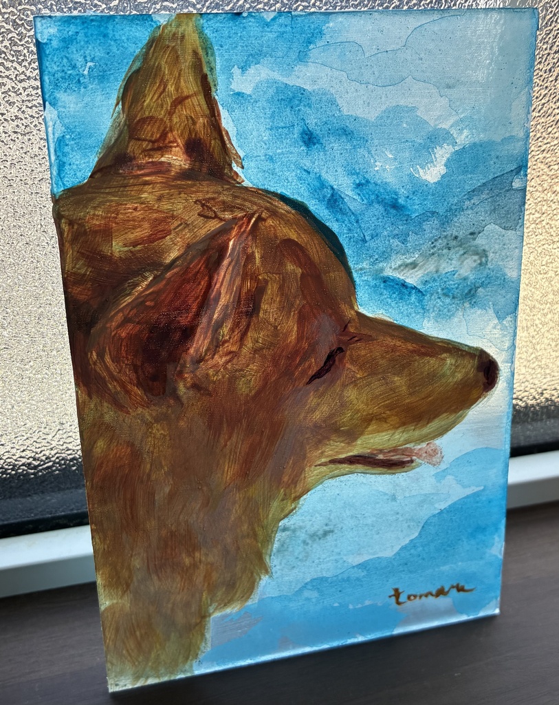 柴犬 Dogs – Shiba Inu –