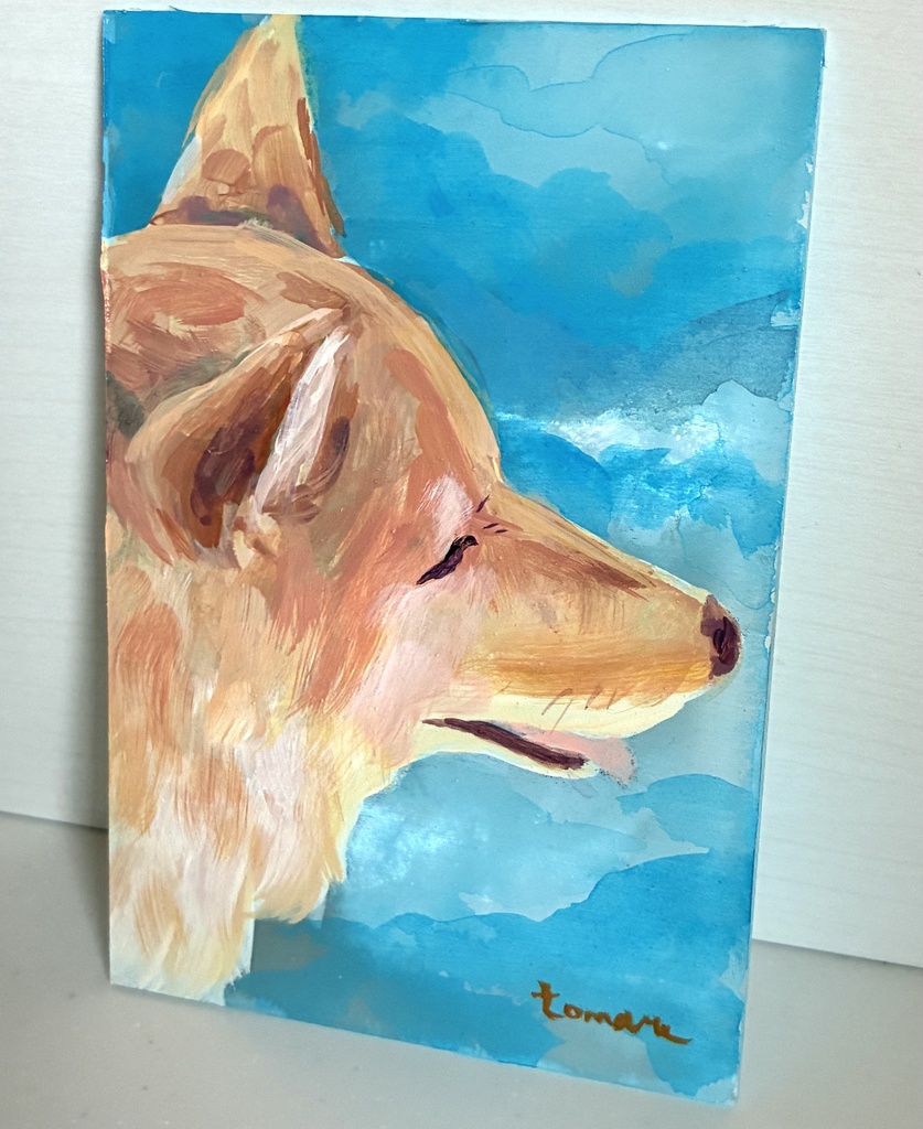 柴犬　Dogs – Shiba Inu –