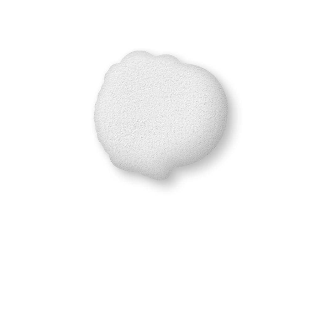 フトアゴちゃんふかふかクッション