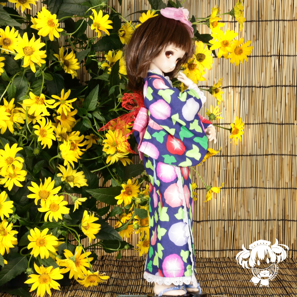 MDD 浴衣5点セット