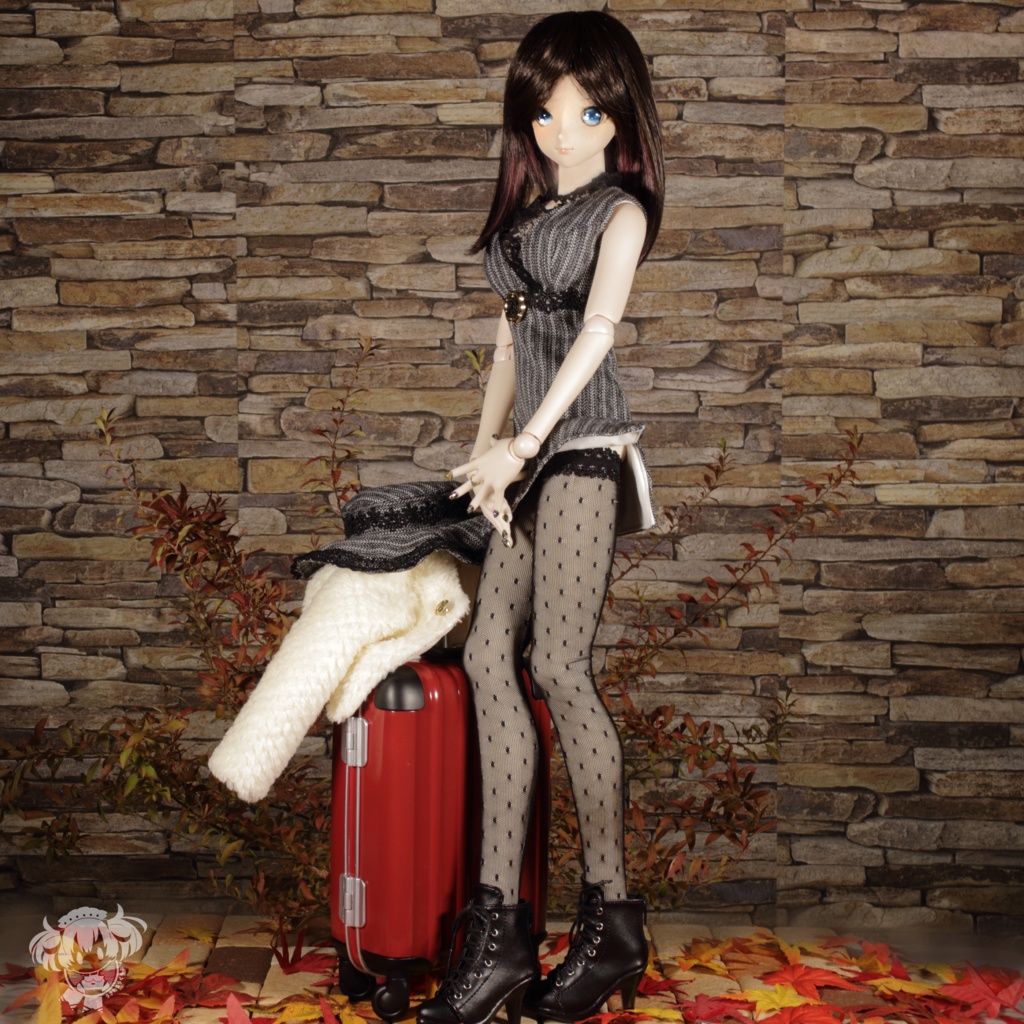 DD(S胸,M胸,L胸)ミニワンピース&ふわもこショートコートセット)